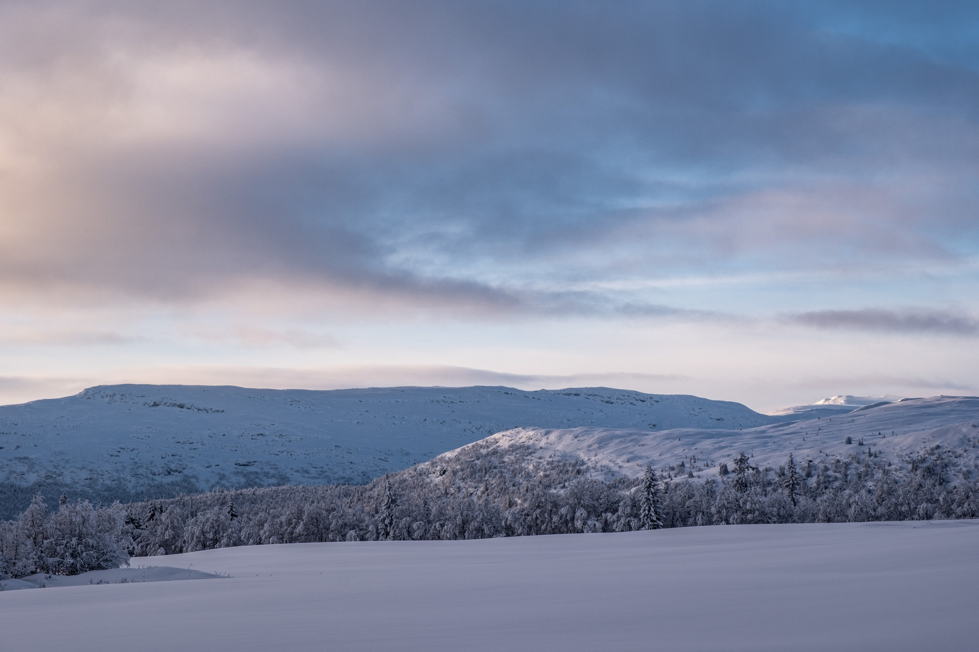 2024 01 04  xt 5   7804